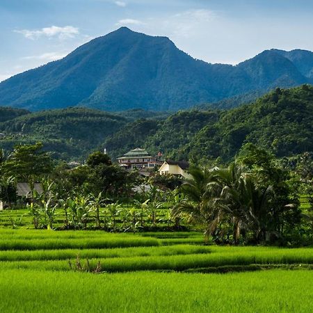 Rizen Padjadjaran Hotel بوكور المظهر الخارجي الصورة